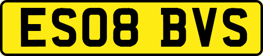 ES08BVS