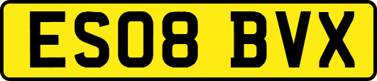 ES08BVX