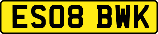 ES08BWK