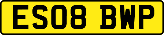 ES08BWP