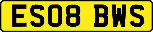 ES08BWS