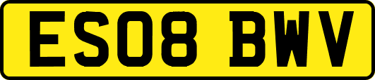 ES08BWV