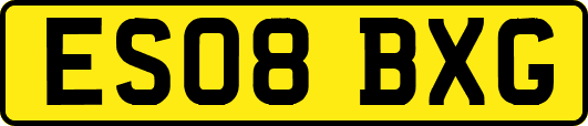 ES08BXG