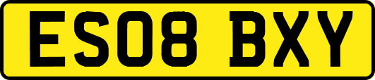 ES08BXY