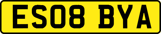 ES08BYA