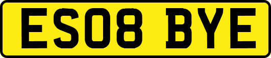 ES08BYE
