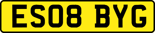 ES08BYG