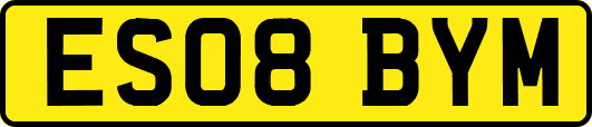 ES08BYM