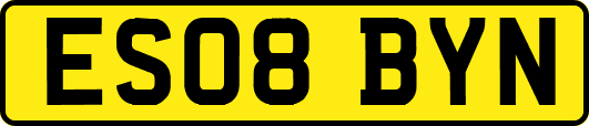 ES08BYN