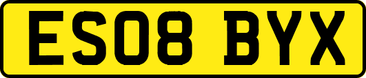 ES08BYX
