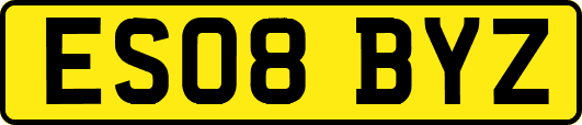ES08BYZ