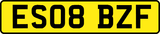 ES08BZF