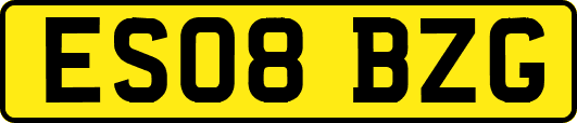 ES08BZG