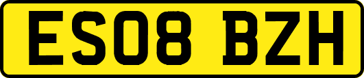 ES08BZH