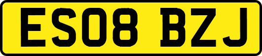 ES08BZJ