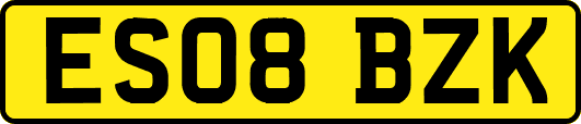 ES08BZK