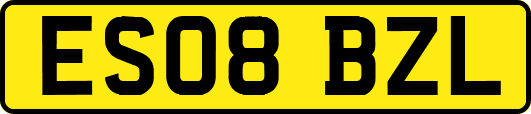 ES08BZL