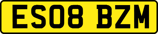 ES08BZM