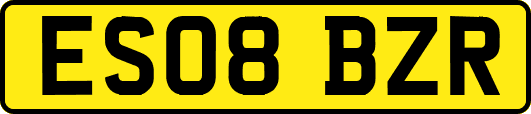ES08BZR