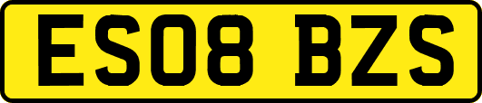 ES08BZS