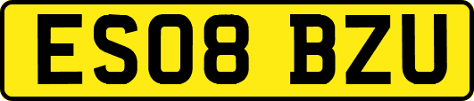 ES08BZU