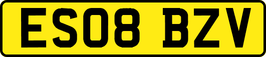 ES08BZV