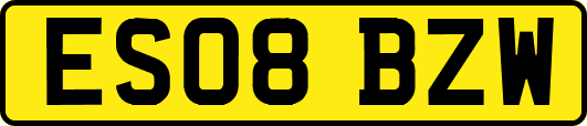 ES08BZW