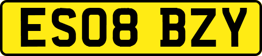 ES08BZY