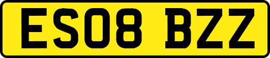 ES08BZZ