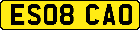 ES08CAO