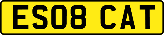 ES08CAT