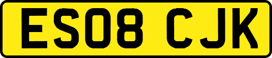 ES08CJK