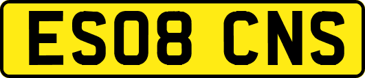 ES08CNS