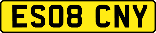 ES08CNY