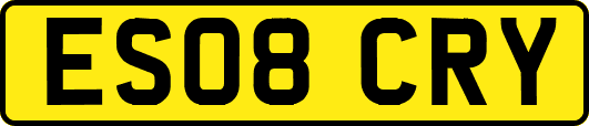 ES08CRY