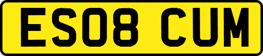 ES08CUM