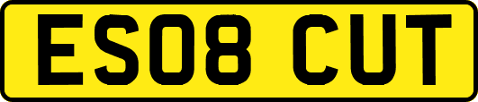 ES08CUT