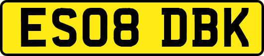ES08DBK