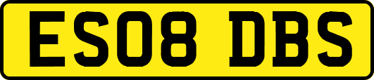 ES08DBS