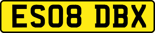 ES08DBX