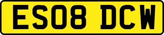 ES08DCW