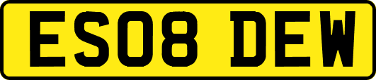 ES08DEW