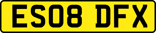 ES08DFX
