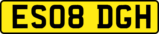 ES08DGH