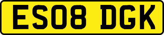 ES08DGK