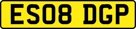 ES08DGP