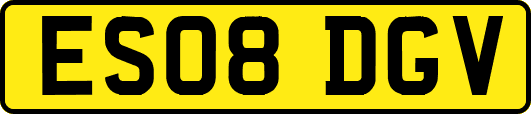 ES08DGV