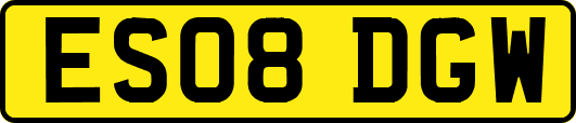 ES08DGW