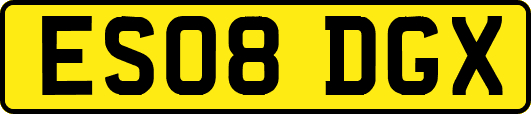 ES08DGX
