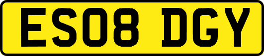 ES08DGY